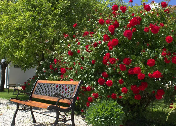 The Secret Garden - 케츨리